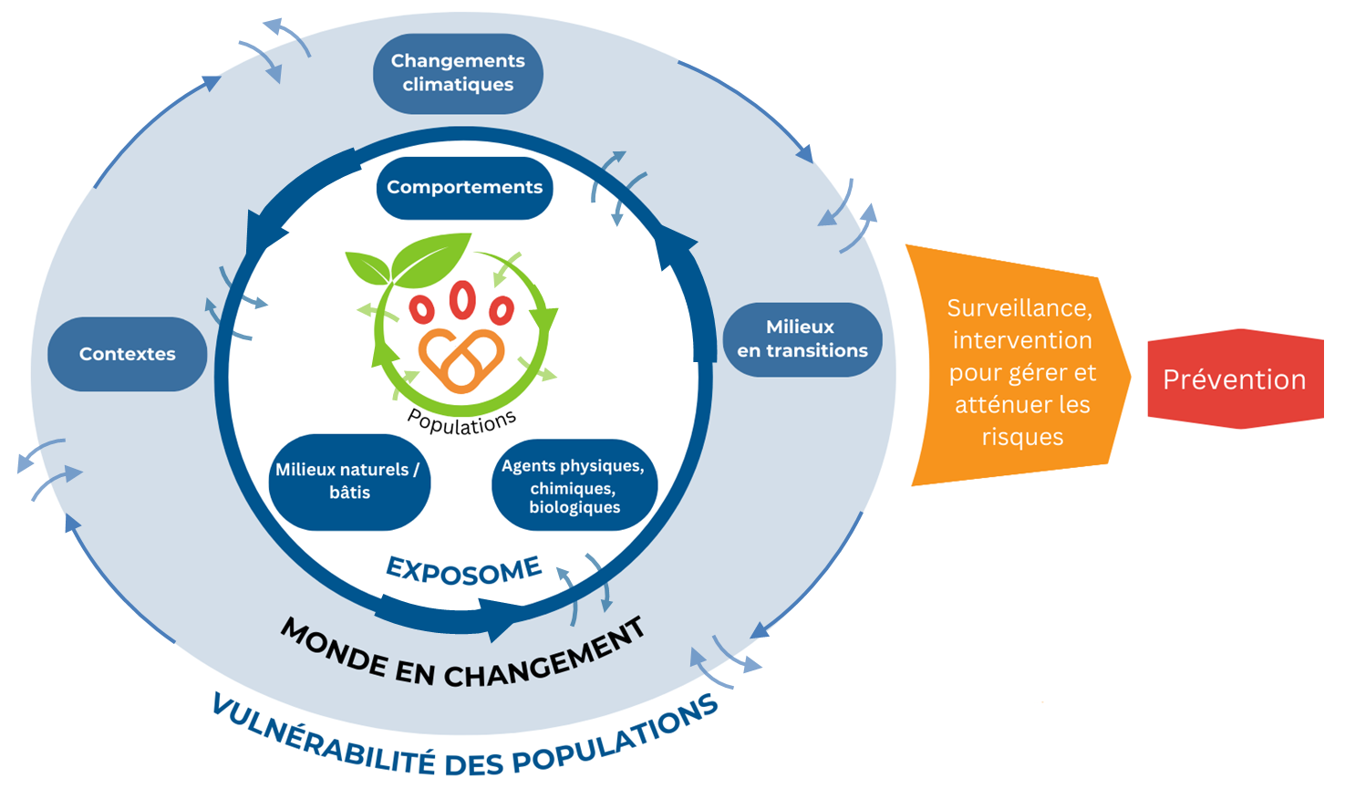 Continuum de l'exposome des populations à la prévention dans lequel s’inscrit le thème Risques et Prévention